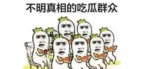 吃瓜群众玫瑰视频下载,热门下载教程大公开