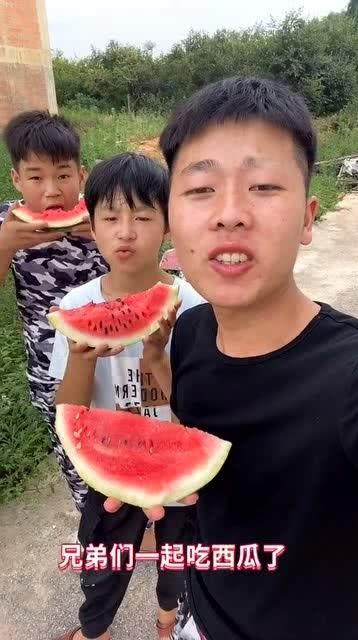 吃瓜小伙伴视频,视频背后的趣味与真相