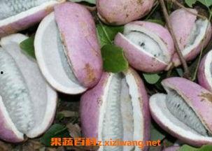 恩施最近吃瓜事件视频,揭秘背后真相与网络舆论风暴