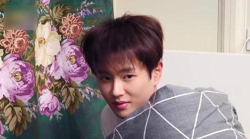 范丞丞综艺吃瓜视频,揭秘娱乐圈幕后真相