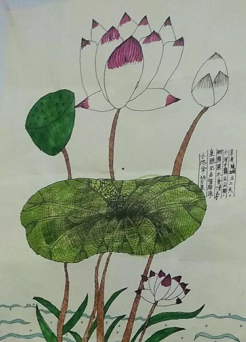 吃瓜就来瓜园小视频,带你走进吃瓜者的欢乐世界