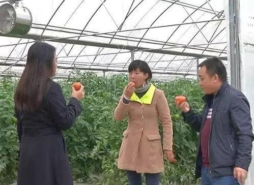 绥阳吃瓜群众事件视频,一场网络舆论的风暴与反思