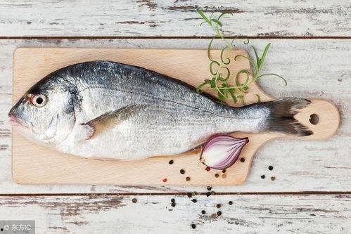 烂瓜可以喂鱼吃吗视频,揭秘鱼儿美食新选择