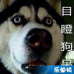 吃瓜观众视频完整版,一场全民参与的娱乐盛宴