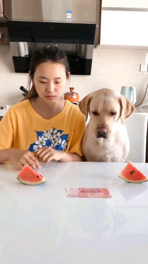 最近吃瓜最火的视频