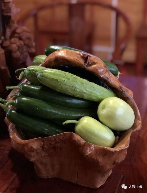 网红吃瓜 视频网站大全,全网热门网红吃瓜视频网站大盘点